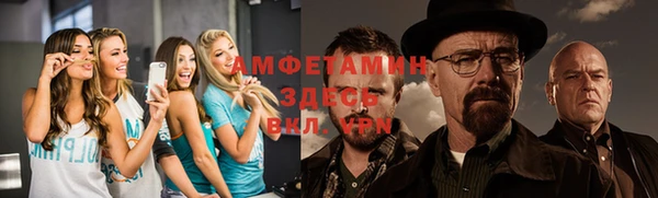 метадон Алексин